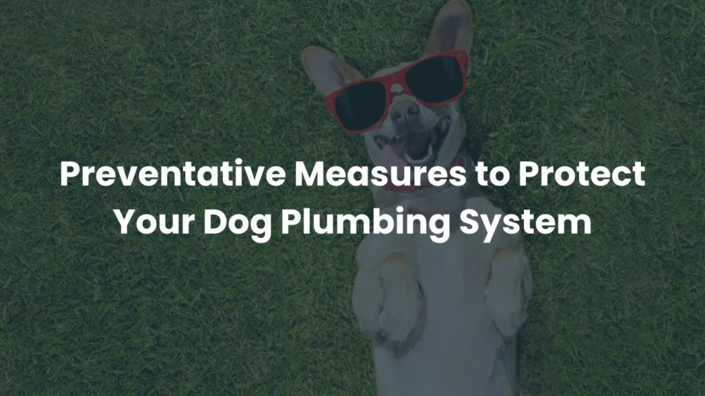 Preventative Measures to Protect Your Dog Plumbing System
